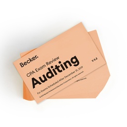 Audit Flashcards